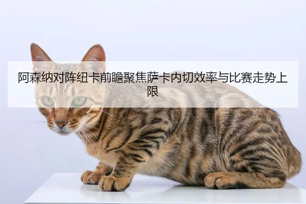 阿森纳对阵纽卡前瞻聚焦萨卡内切效率与比赛走势上限